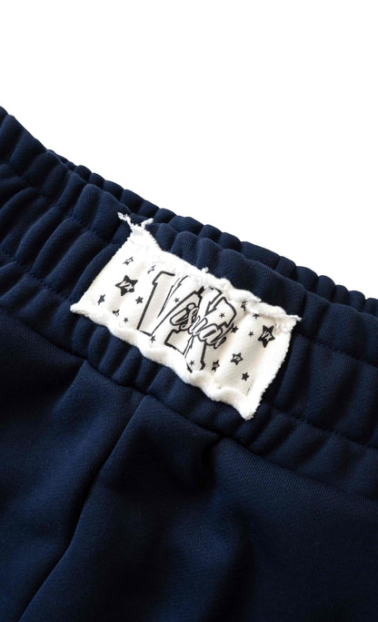 BERRY BLUE STRIPED FLOW SWEATPANTS